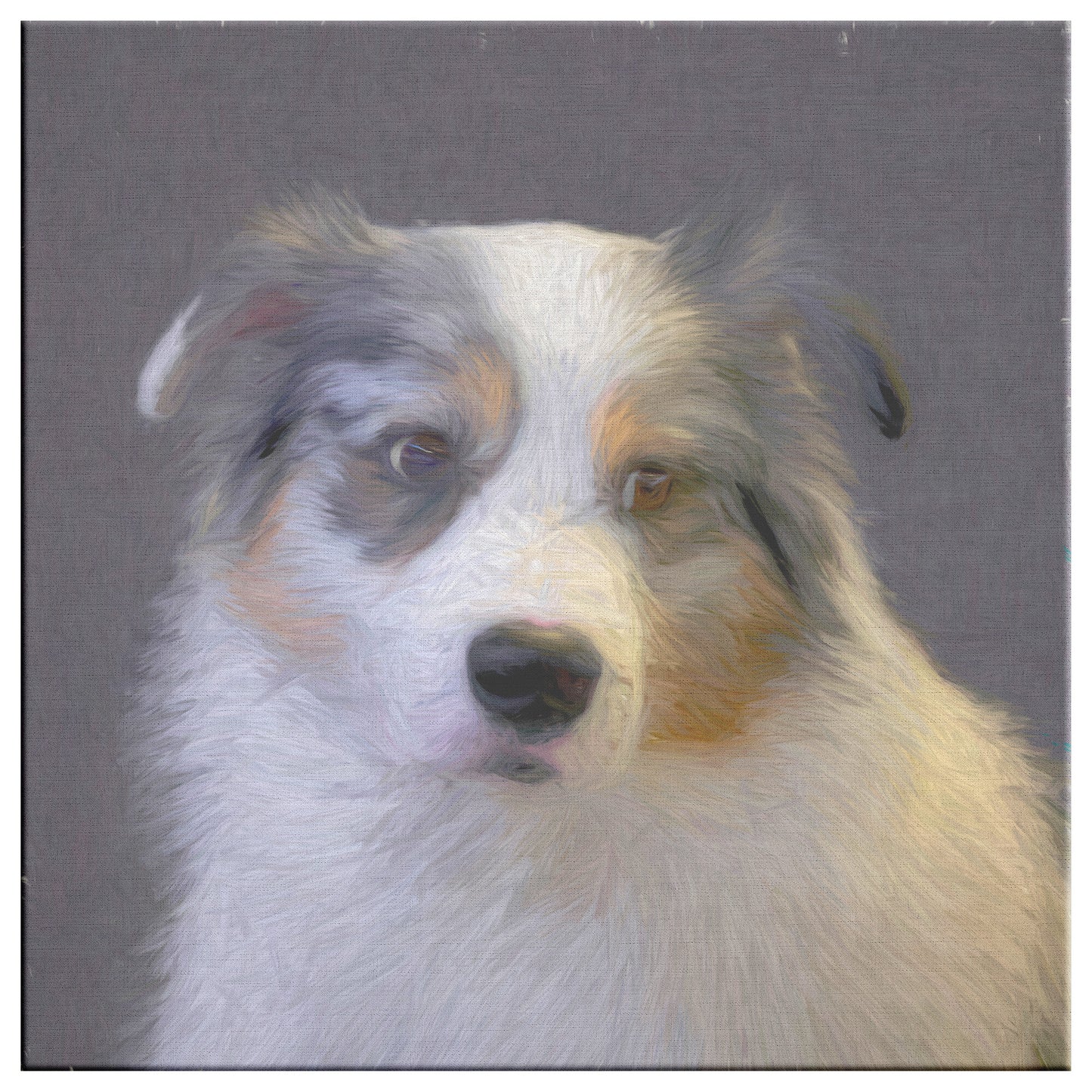 Buy Blu III Gallery Canvas | Shop Australian Shepherd Art | Roscoe & Charlie