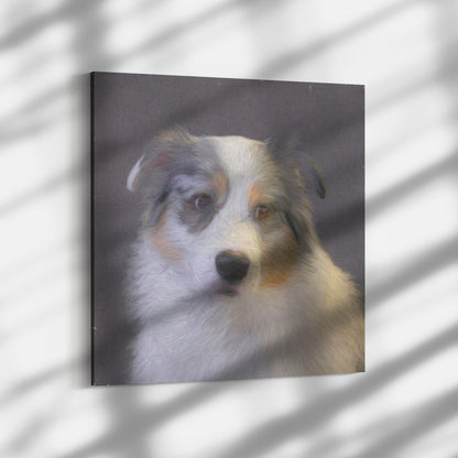 Buy Blu III Gallery Canvas | Shop Australian Shepherd Art | Roscoe & Charlie