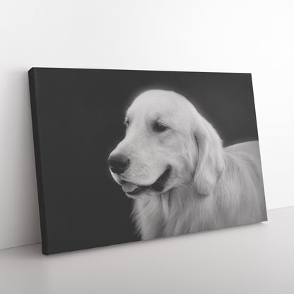 Buy Bodie IV Gallery Canvas | Shop Golden Retriever Wall Art | Roscoe & Charlie