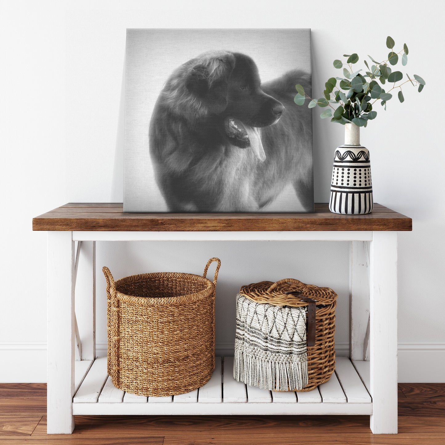 Buy Bruno I Gallery Canvas | Shop for Leonberger Wall Art | Roscoe & Charlie