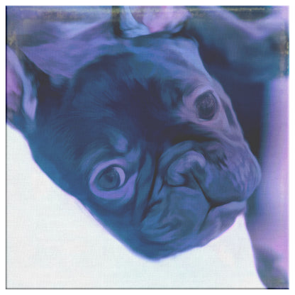 Buy Buster I Gallery Canvas | Shop French Bulldog Art | Roscoe & Charlie