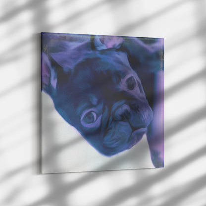 Buy Buster I Gallery Canvas | Shop French Bulldog Art | Roscoe & Charlie