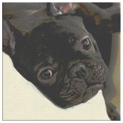 Buy Buster II Gallery Canvas | Shop for French Bulldog Wall Art | Roscoe & Charlie