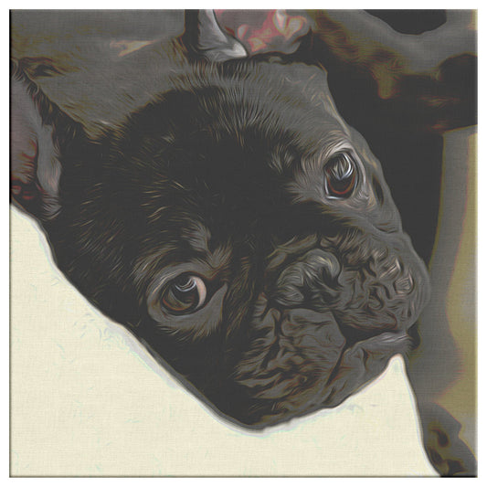 Buy Buster II Gallery Canvas | Shop for French Bulldog Wall Art | Roscoe & Charlie