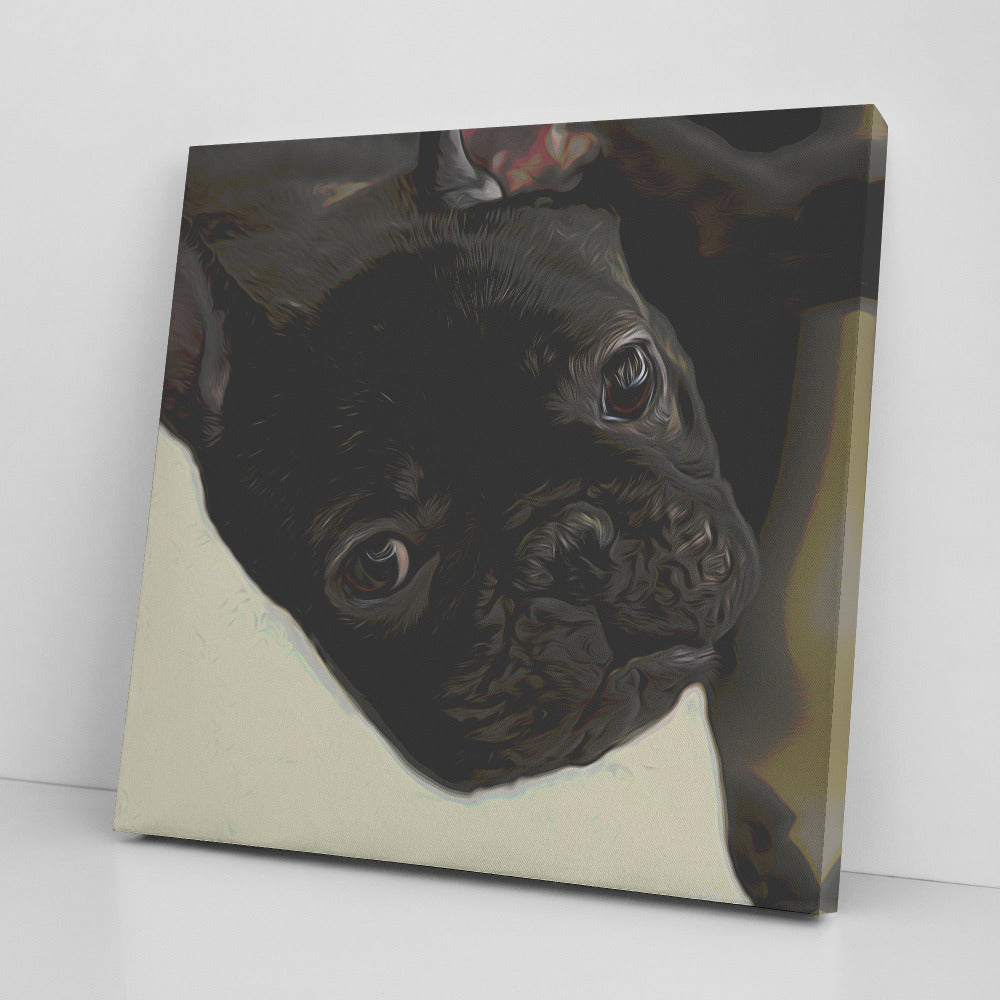 Buy Buster II Gallery Canvas | Shop for French Bulldog Wall Art | Roscoe & Charlie