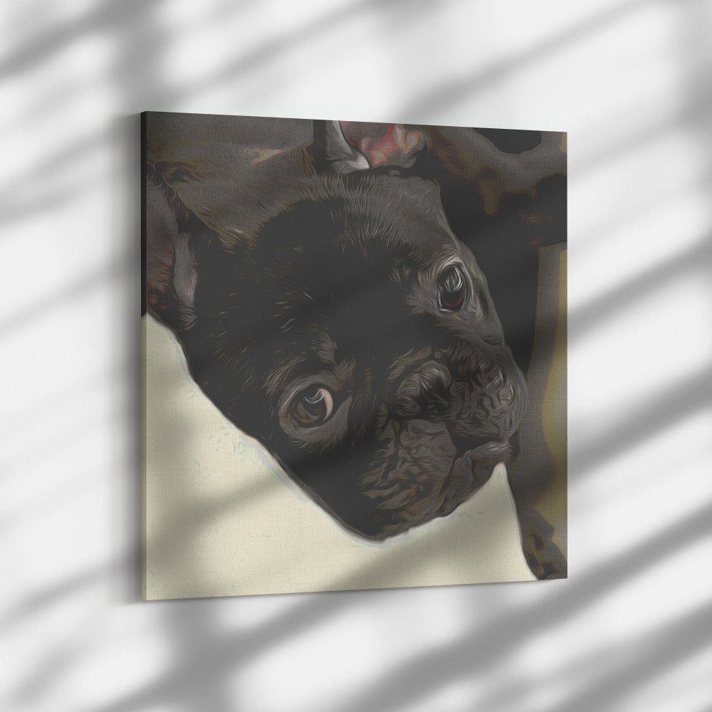 Buy Buster II Gallery Canvas | Shop for French Bulldog Wall Art | Roscoe & Charlie