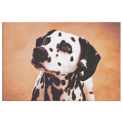 Buy Cleo III Canvas Wall Art | Shop Dalmatian Wall Art | Roscoe & Charlie