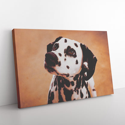 Buy Cleo III Canvas Wall Art | Shop Dalmatian Wall Art | Roscoe & Charlie