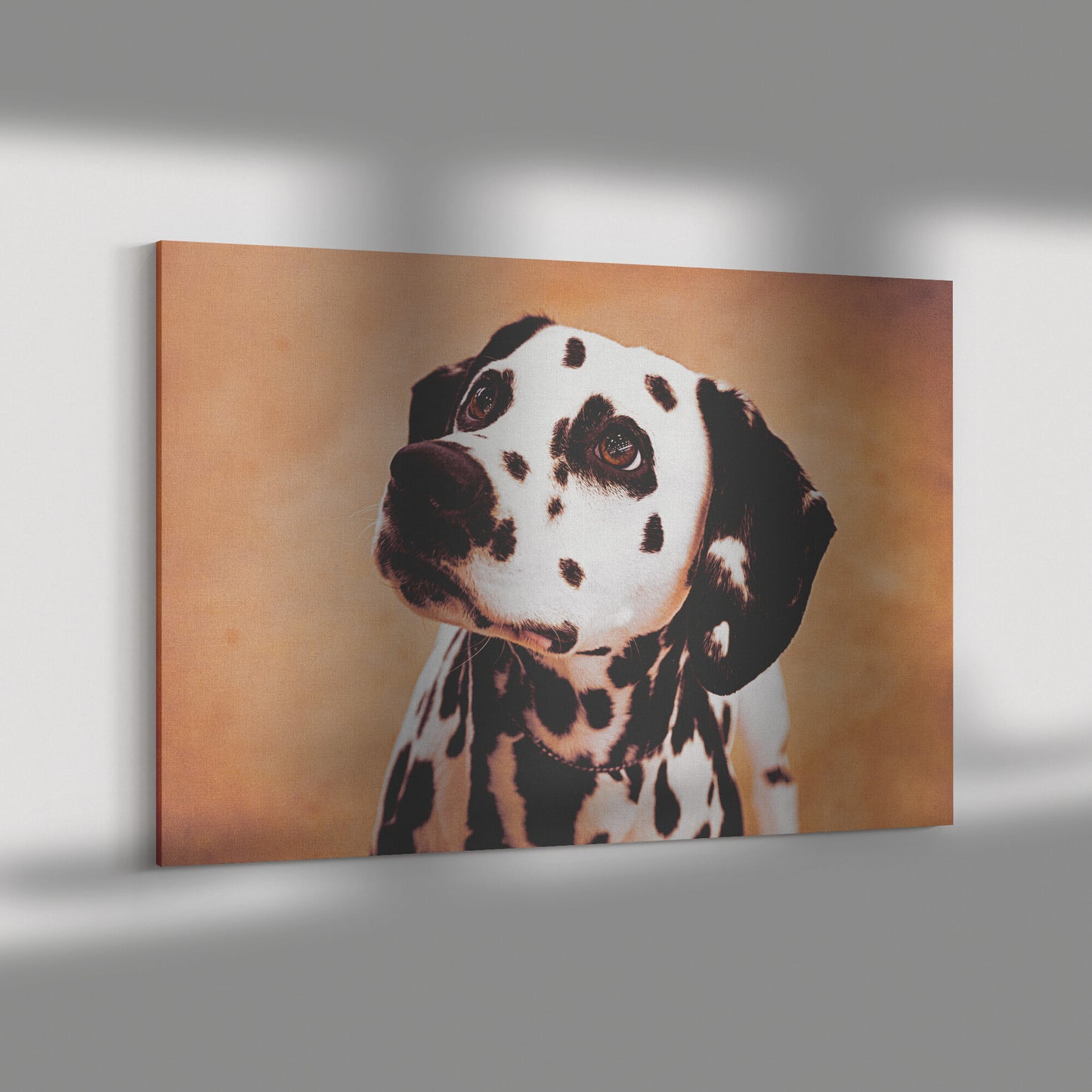 Buy Cleo III Canvas Wall Art | Shop Dalmatian Wall Art | Roscoe & Charlie