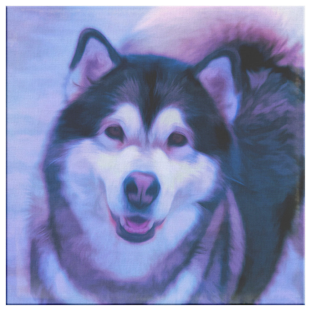 Buy Dakota I Gallery Canvas | Shop for Alaskan Malamute Wall Art | Roscoe & Charlie