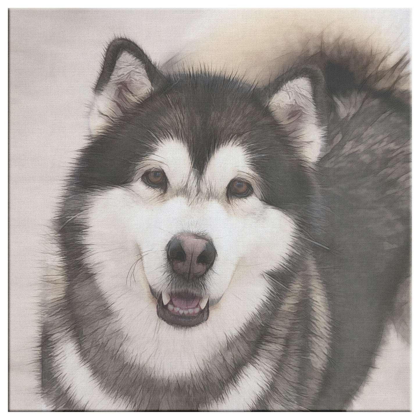 Buy Dakota III Gallery Canvas | Shop Alaskan Malamute Art | Roscoe & Charlie