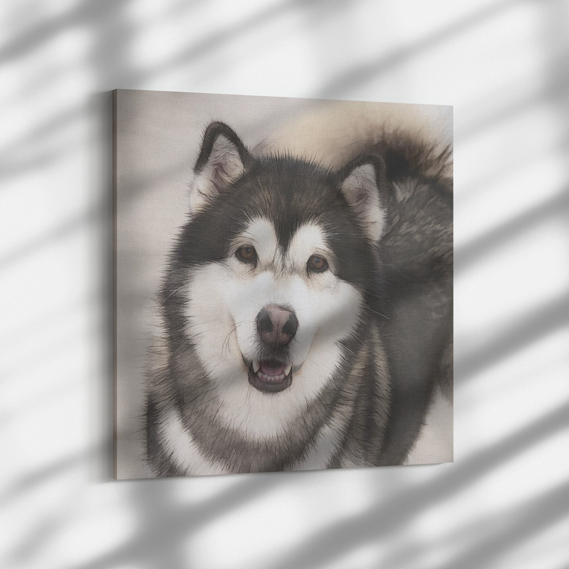 Buy Dakota III Gallery Canvas | Shop Alaskan Malamute Art | Roscoe & Charlie