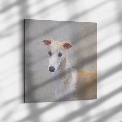 Buy Dash II Gallery Canvas | Shop for Whippet Wall Art | Roscoe & Charlie