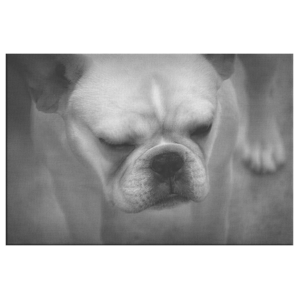 Buy Francine I Gallery Canvas | Shop for French Bulldog Wall Art | Roscoe & Charlie