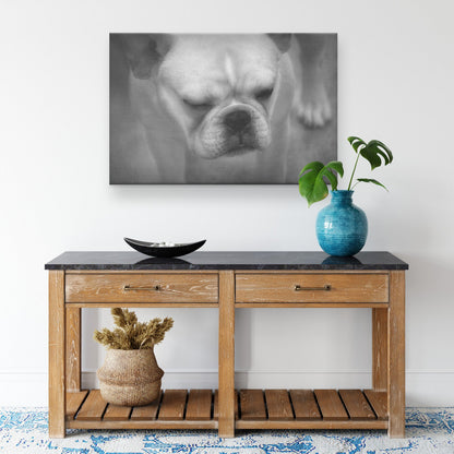 Buy Francine I Gallery Canvas | Shop for French Bulldog Wall Art | Roscoe & Charlie