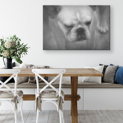 Buy Francine I Gallery Canvas | Shop for French Bulldog Wall Art | Roscoe & Charlie