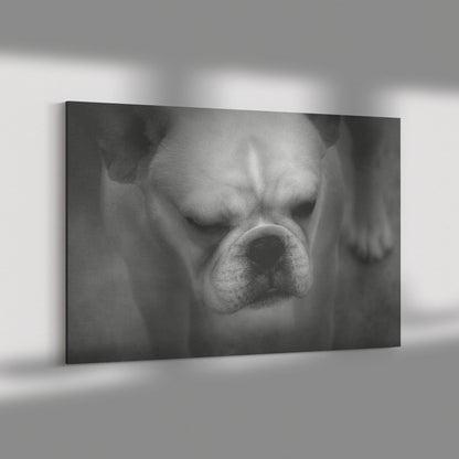 Buy Francine I Gallery Canvas | Shop for French Bulldog Wall Art | Roscoe & Charlie