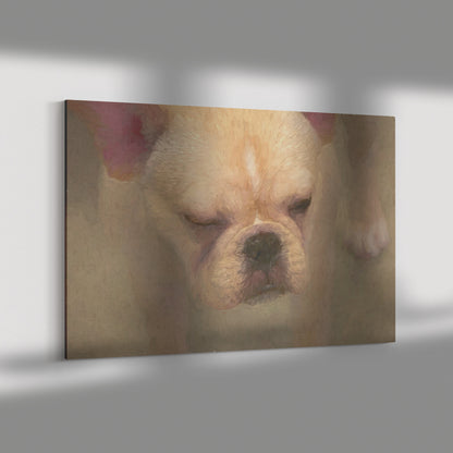 Buy Francine III Gallery Canvas | Shop French Bulldog Wall Art | Roscoe & Charlie