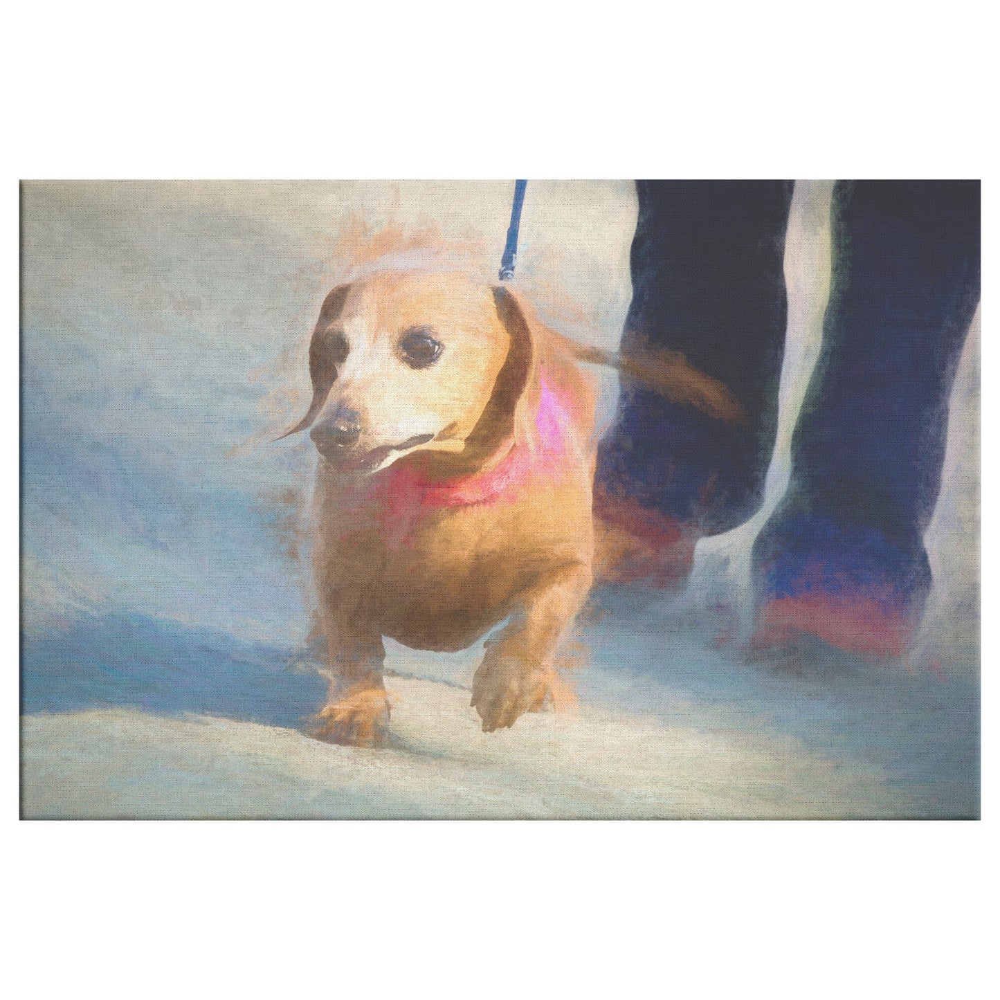 Buy Frankie I Gallery Canvas | Shop for Dachshund Wall Art | Roscoe & Charlie