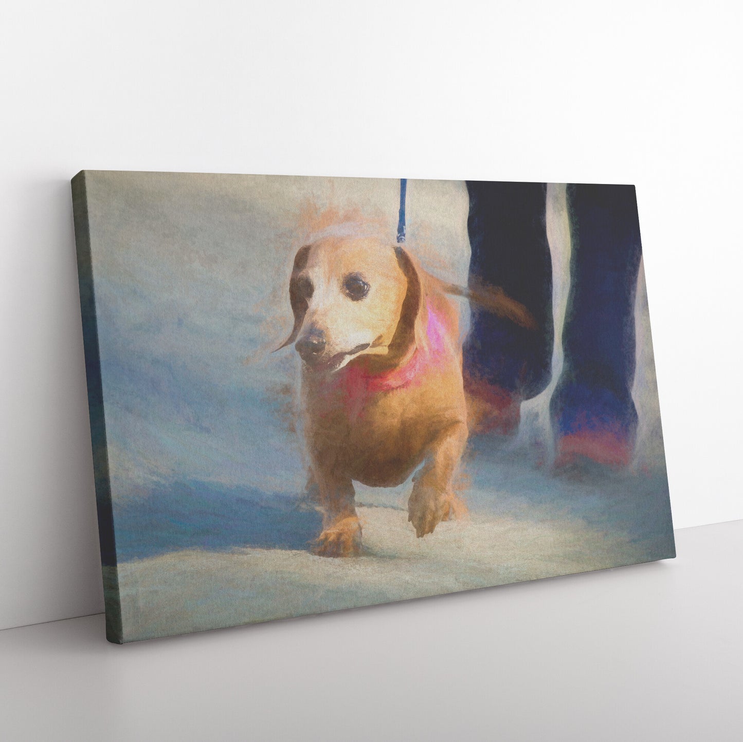 Buy Frankie I Gallery Canvas | Shop for Dachshund Wall Art | Roscoe & Charlie