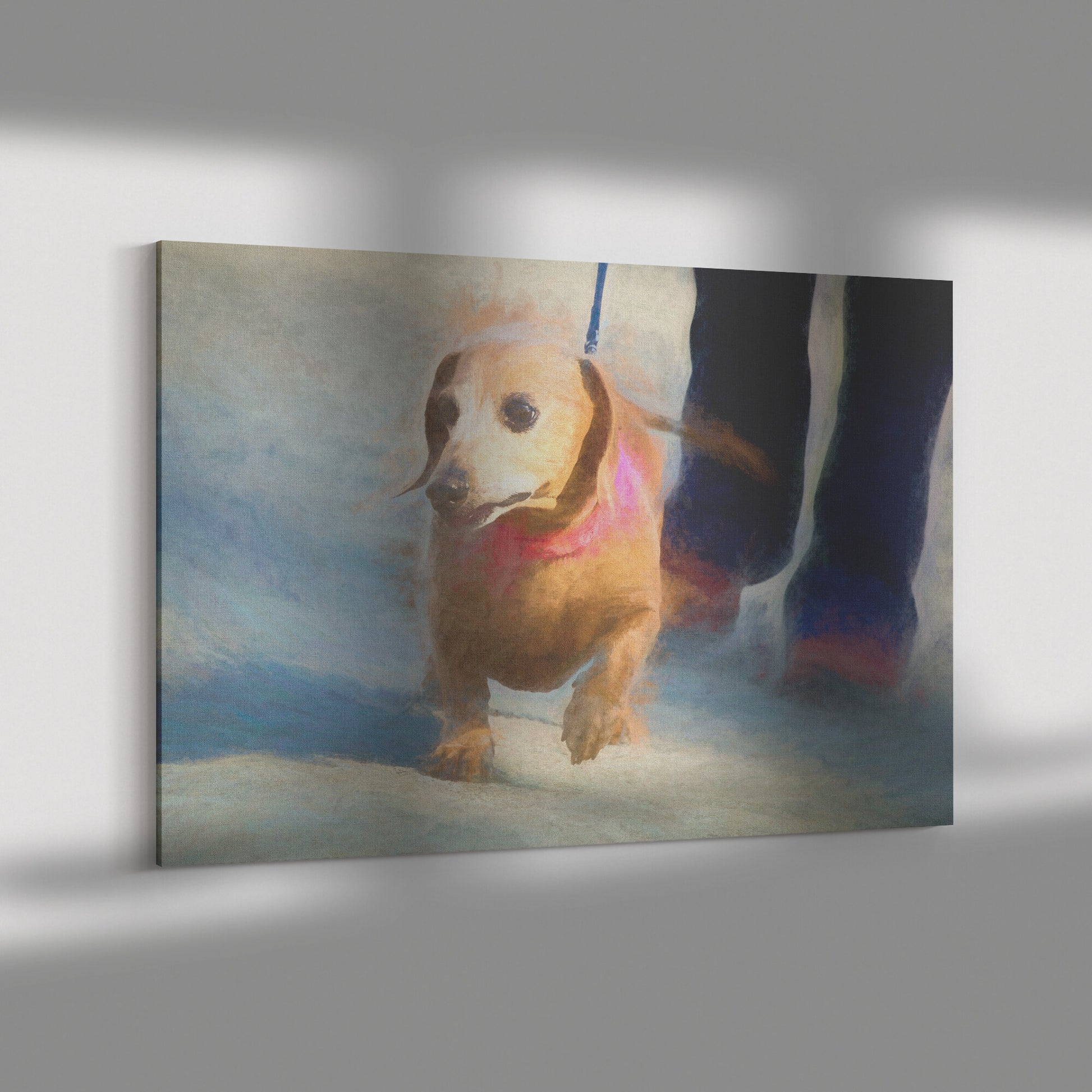 Buy Frankie I Gallery Canvas | Shop for Dachshund Wall Art | Roscoe & Charlie