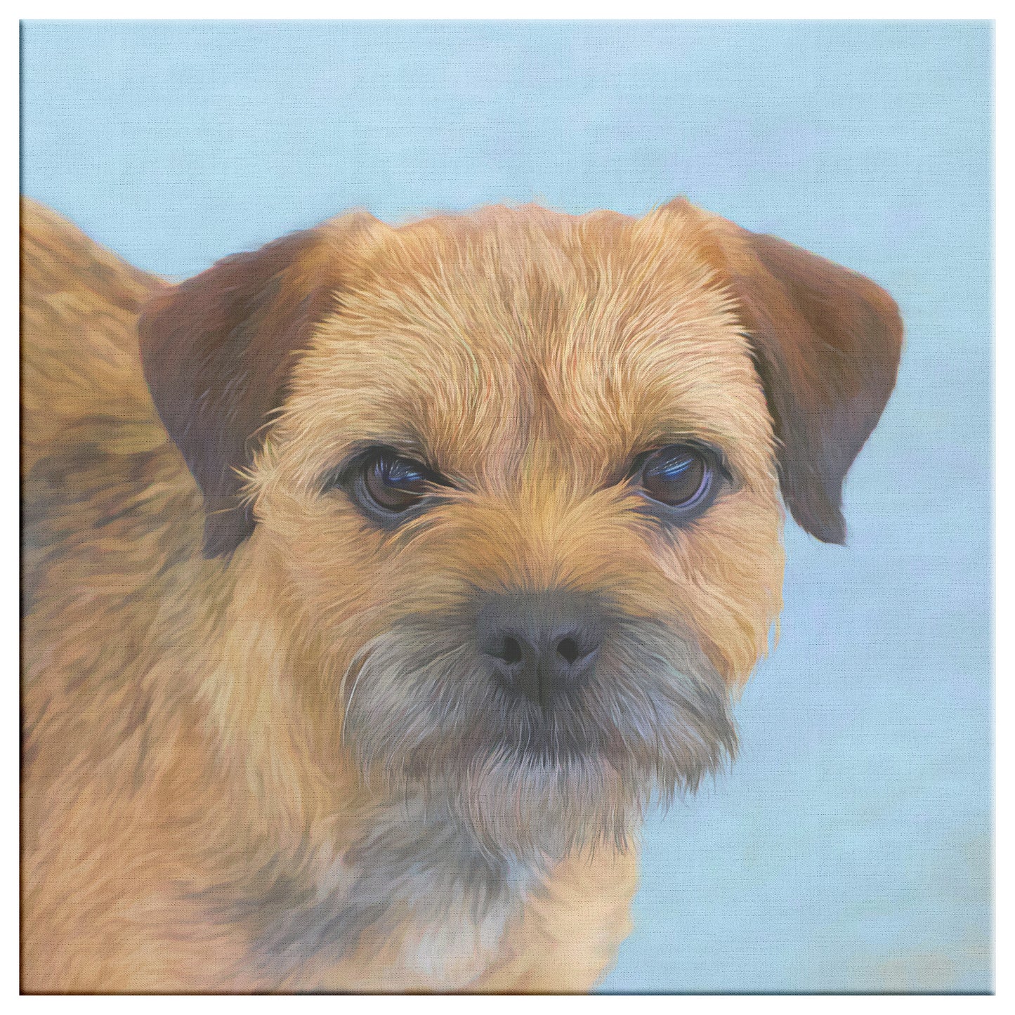 Buy Hamish I Gallery Canvas | Shop for Border Terrier Wall Art | Roscoe & Charlie