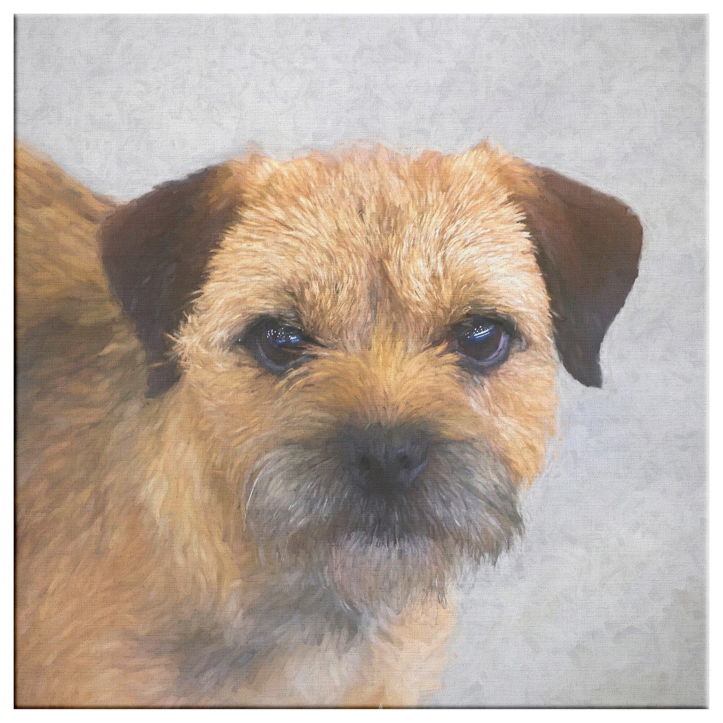 Buy Hamish III Gallery Canvas | Shop Border Terrier Wall Art | Roscoe & Charlie