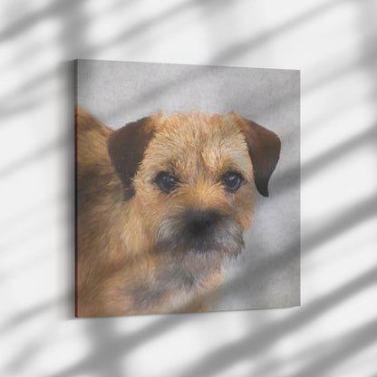 Buy Hamish III Gallery Canvas | Shop Border Terrier Wall Art | Roscoe & Charlie