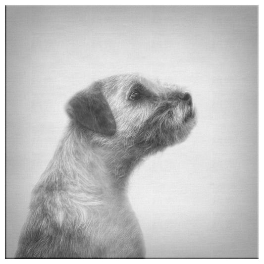 Buy Hamish IX Gallery Canvas | Shop Border Terrier Wall Art | Roscoe & Charlie