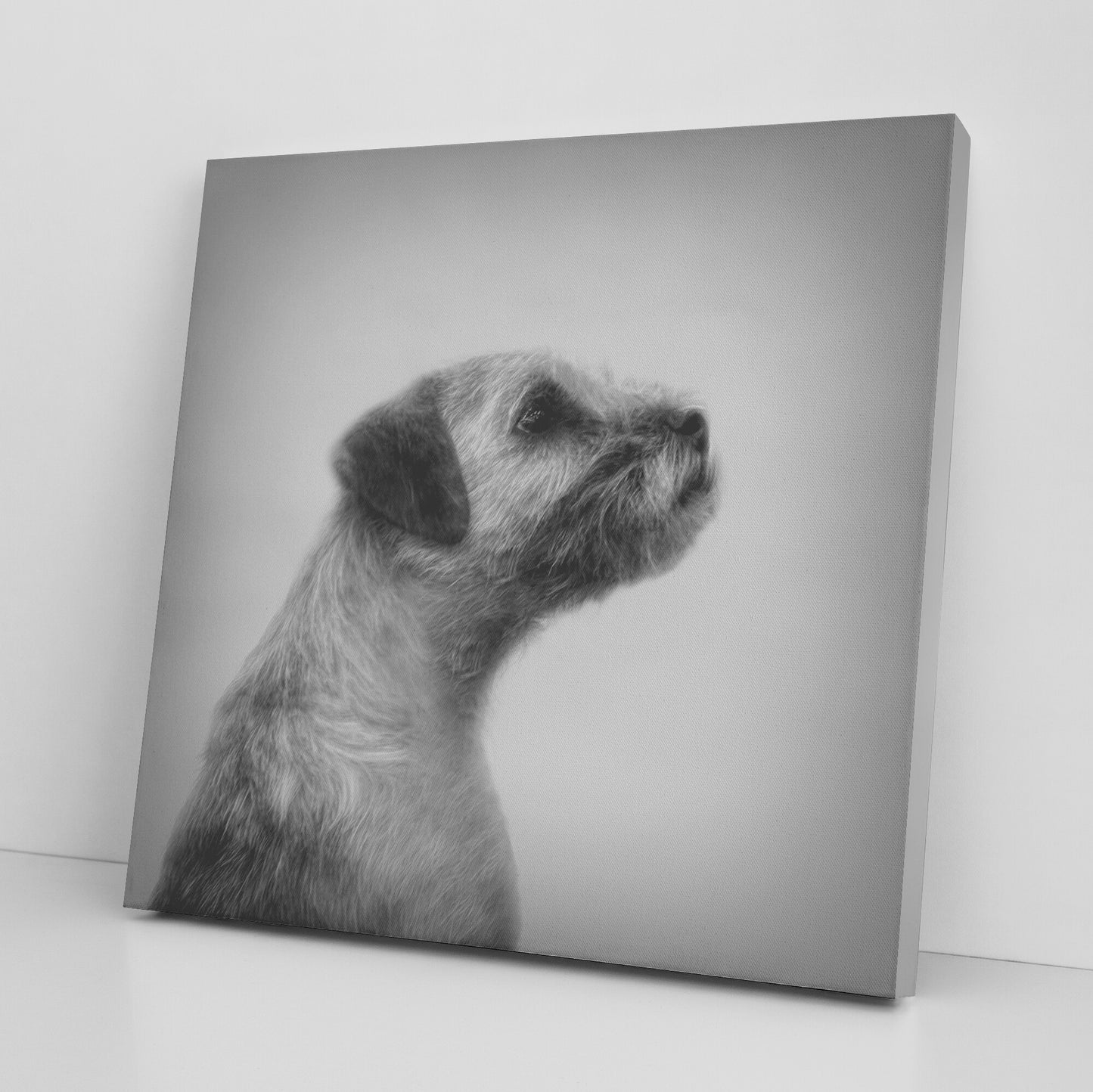 Buy Hamish IX Gallery Canvas | Shop Border Terrier Wall Art | Roscoe & Charlie