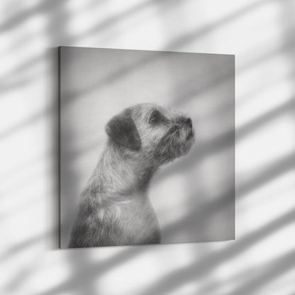 Buy Hamish IX Gallery Canvas | Shop Border Terrier Wall Art | Roscoe & Charlie