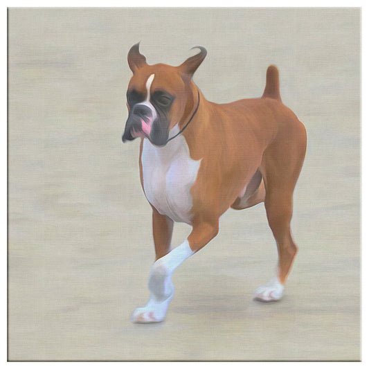 Buy Harley I Gallery Canvas | Shop for Boxer Dog Wall Art | Roscoe & Charlie