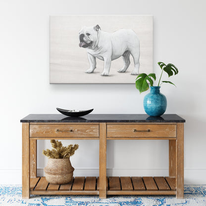 Buy Humphrey IV Gallery Canvas | Shop for English Bulldog Wall Art | Roscoe & Charlie