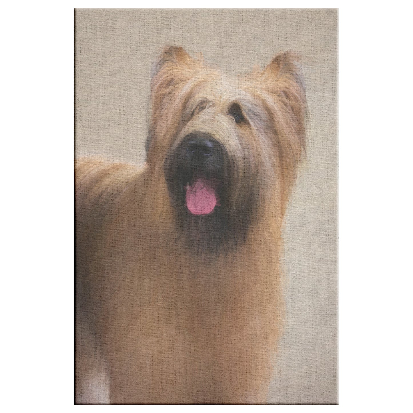 Buy Jacques II Gallery Canvas | Shop Briard Wall Art | Roscoe & Charlie