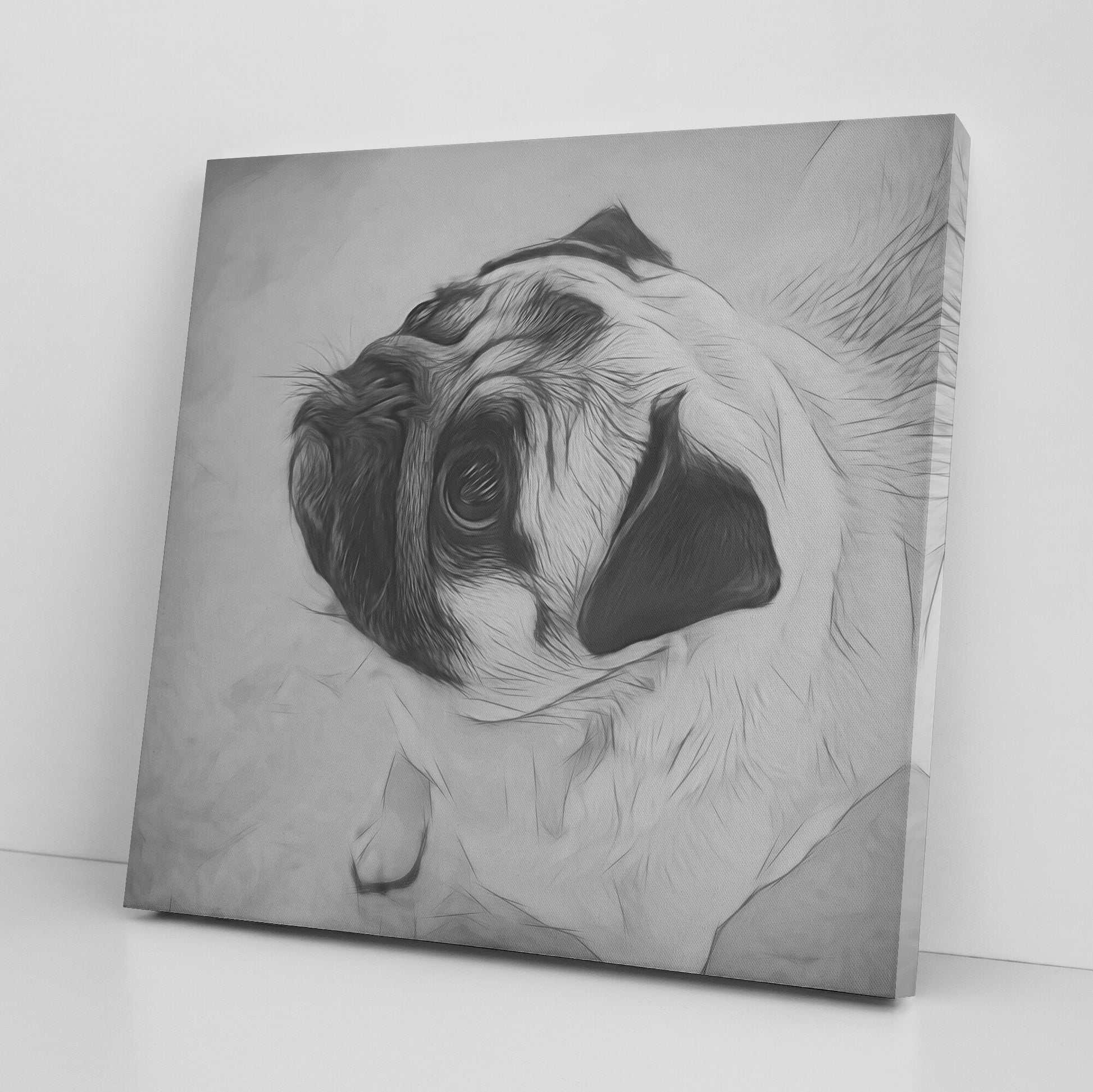 Buy Jake VIII Gallery Canvas | Shop for Pug Canvas Wall Art | Roscoe & Charlie