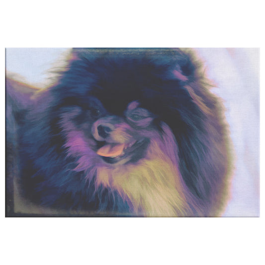 Buy Jet I Gallery Canvas | Shop Pomeranian Wall Art | Roscoe & Charlie