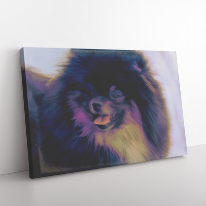 Buy Jet I Gallery Canvas | Shop Pomeranian Wall Art | Roscoe & Charlie