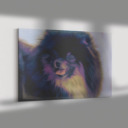 Buy Jet I Gallery Canvas | Shop Pomeranian Wall Art | Roscoe & Charlie