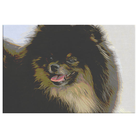 Buy Jet II Gallery Canvas | Shop Pomeranian Wall Art | Roscoe & Charlie