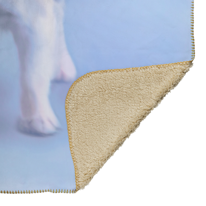 Buy Lola I Blanket | Shop for Chihuahua Blankets | Roscoe & Charlie