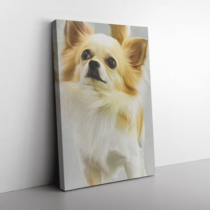 Buy Lola II Gallery Canvas | Shop for Chihuahua Wall Art | Roscoe & Charlie