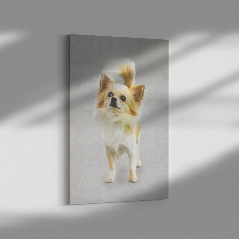 Buy Lola II Gallery Canvas | Shop for Chihuahua Wall Art | Roscoe & Charlie