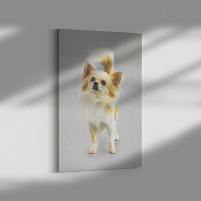 Buy Lola II Gallery Canvas | Shop for Chihuahua Wall Art | Roscoe & Charlie