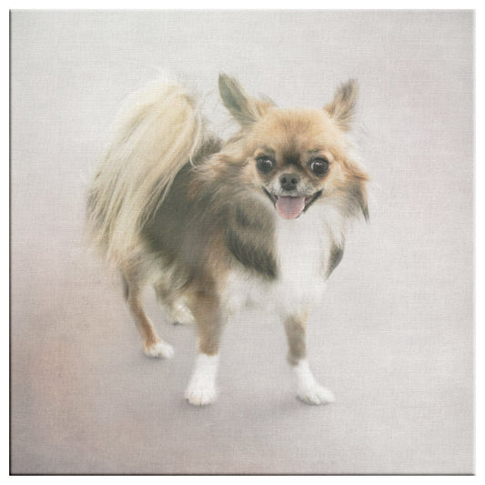 Buy Minnie II Gallery Canvas | Shop for Chihuahua Wall Art | Rosco & Charlie