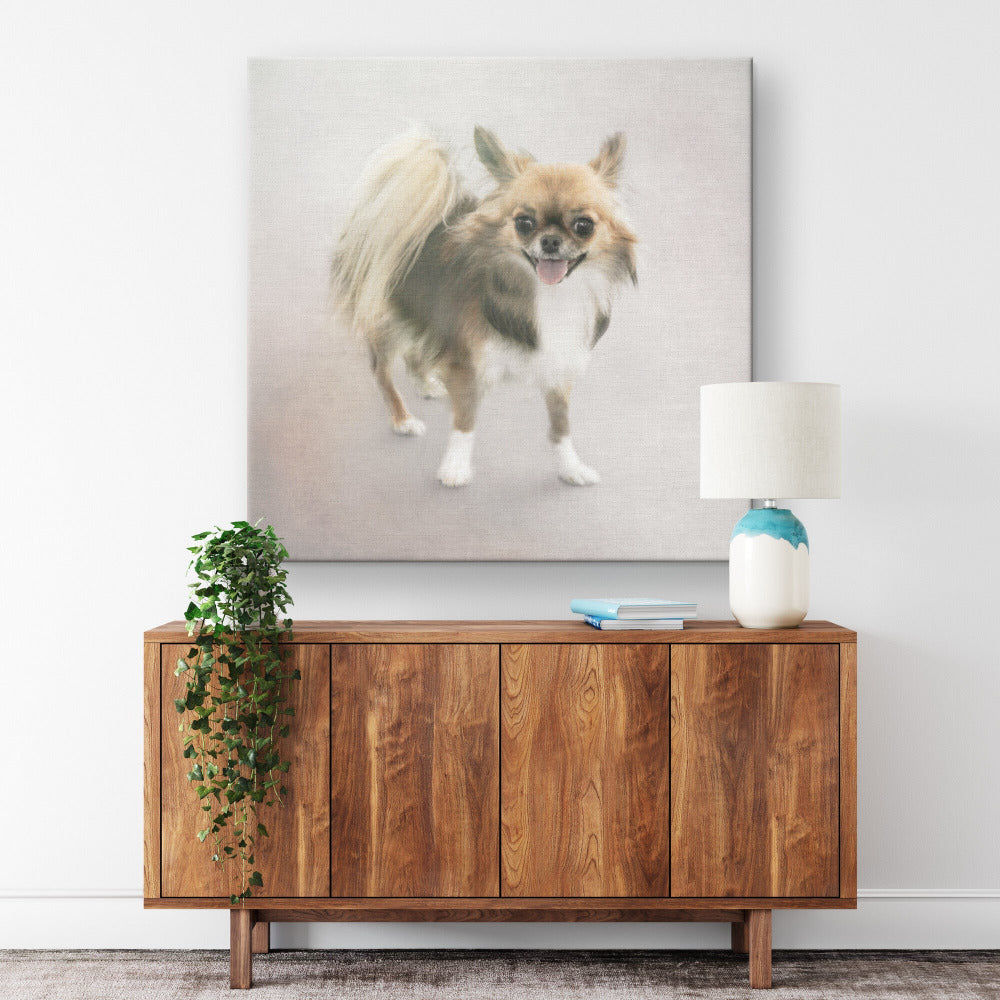 Buy Minnie II Gallery Canvas | Shop for Chihuahua Wall Art | Rosco & Charlie