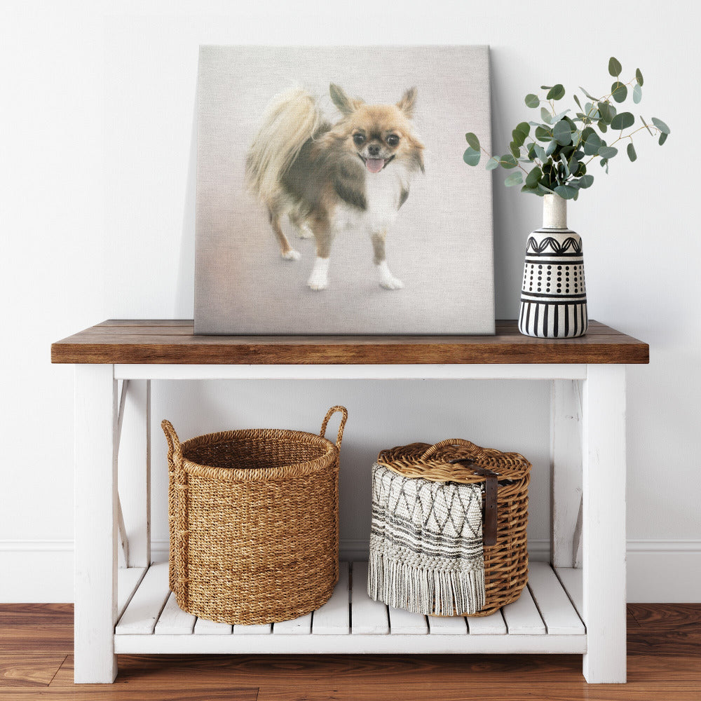 Buy Minnie II Gallery Canvas | Shop for Chihuahua Wall Art | Rosco & Charlie