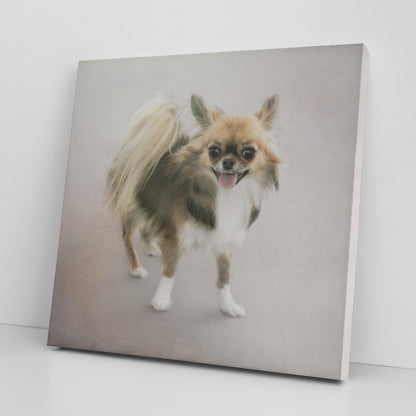 Buy Minnie II Gallery Canvas | Shop for Chihuahua Wall Art | Rosco & Charlie