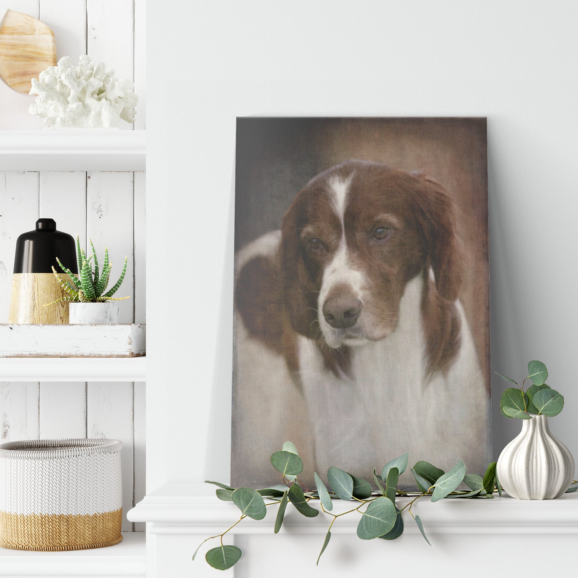 Buy Murphy II Gallery Canvas | Shop Red & White Setter Wall Art | Roscoe & Charlie