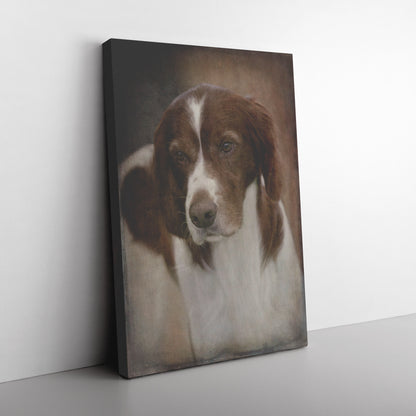 Buy Murphy II Gallery Canvas | Shop Red & White Setter Wall Art | Roscoe & Charlie