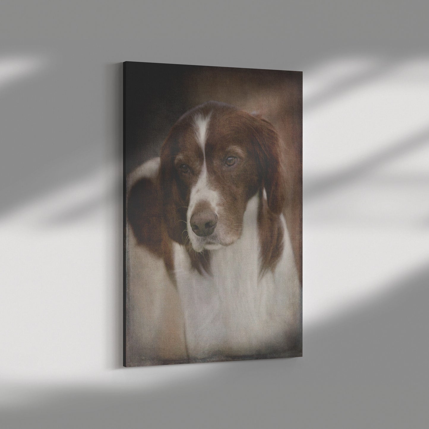 Buy Murphy II Gallery Canvas | Shop Red & White Setter Wall Art | Roscoe & Charlie